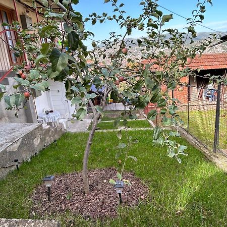 The Heart Of Sarajevoアパートメント エクステリア 写真